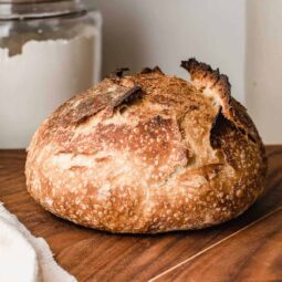 Find the fundamentals of sourdough bread making in our complete aide 'Sourdough 101: Dominating the Essentials.' Figure out how to make an ideal portion with our scrumptious contort recipe, upgraded for fledglings and devotees the same.